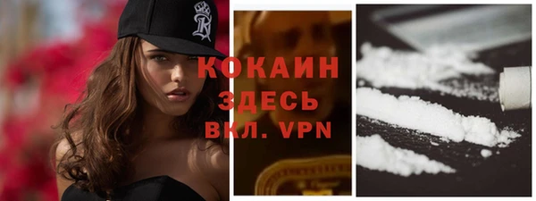 дмт Белокуриха