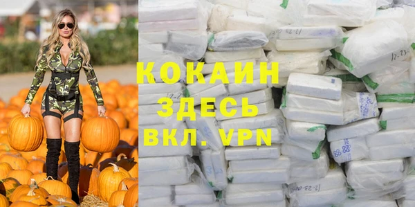 дмт Белокуриха