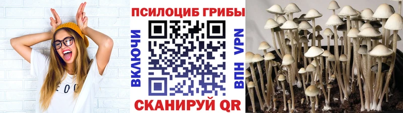 закладка  hydra как зайти  Галлюциногенные грибы GOLDEN TEACHER  Бугульма 