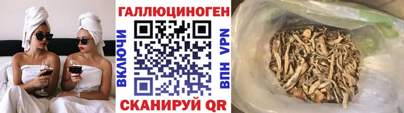 Псилоцибиновые грибы Cubensis Бугульма